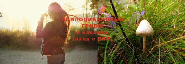 mdpv Мегион