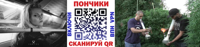 Бошки Шишки план Камбарка